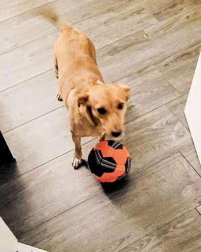 Doppelgänger gesucht !-Beitrag-Bild