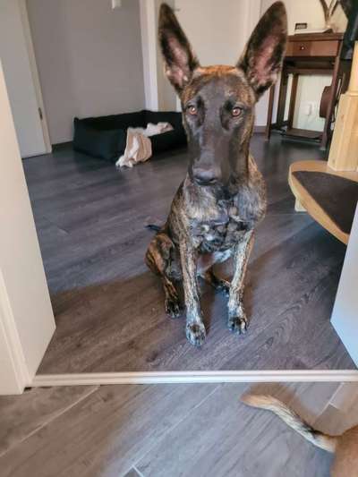 Doppelgänger gesucht !-Beitrag-Bild