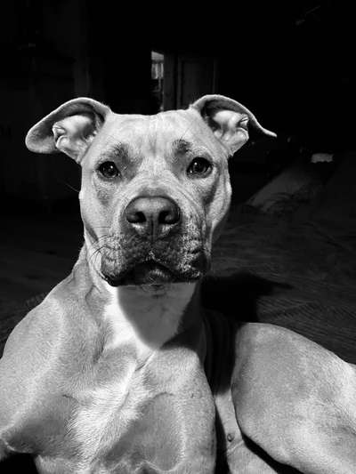 Foto-Challenge 76: Foto in Schwarz-Weiss-Beitrag-Bild