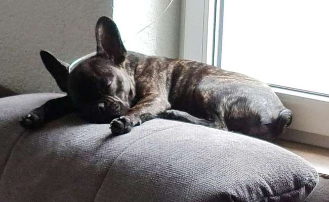 4. Lustiger Schlafplatz-Beitrag-Bild