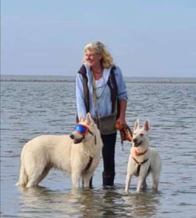 Erfahrungen, Tipps, Hilfen Schäferhundkeratitis ... "Selbsthilfegruppe"-Beitrag-Bild