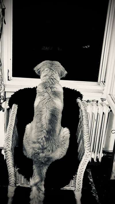 120. Fotochallenge-Beitrag-Bild