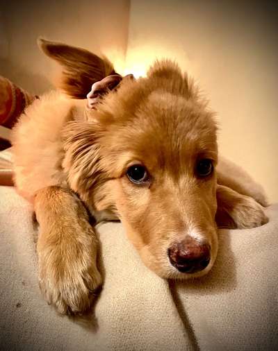 Lustigsten Bilder-Beitrag-Bild