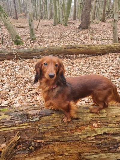 Foto Challenge Nr. 79-Beitrag-Bild