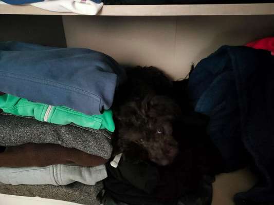 Challenge Nr 14
Eure Fellnasen auf ihrem Lieblingsplatz-Beitrag-Bild