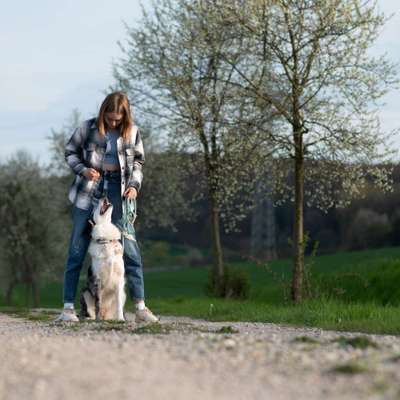 Hundetreffen-Social Walk-Bild