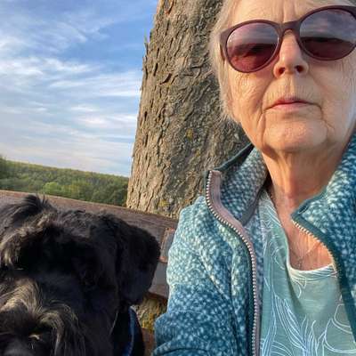 Hundetreffen-Einfach nur Hund, Treff mit verschiedenen Hunden Hunden. Egal welches Alter
