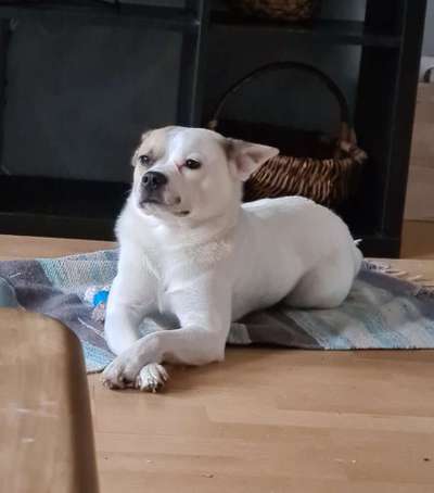 "Die eingefangene Magie des Augenblicks"-Beitrag-Bild