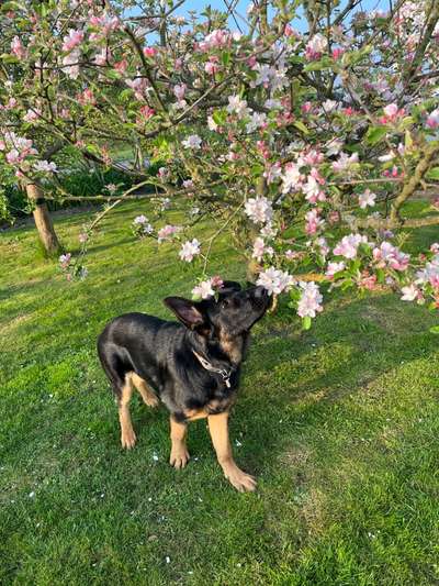 Fotowettbewerb Natur-Beitrag-Bild