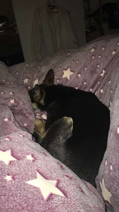 Im Bett schlafen-Beitrag-Bild