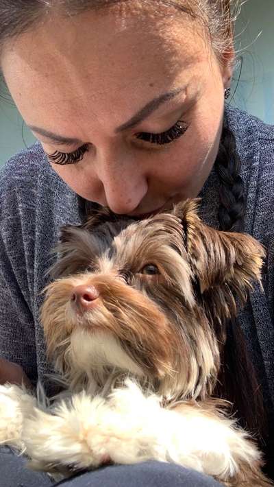 Welpen Bilder !-Beitrag-Bild