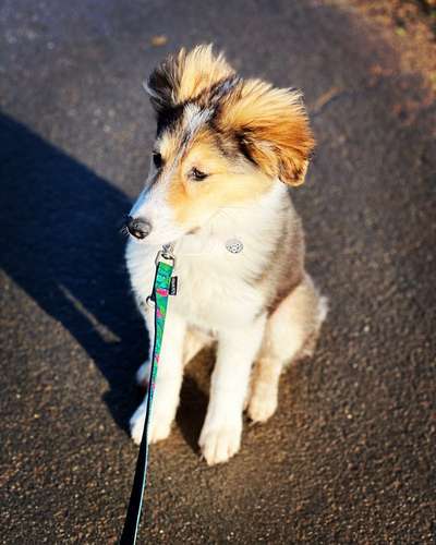 Lieblingsbild-Beitrag-Bild