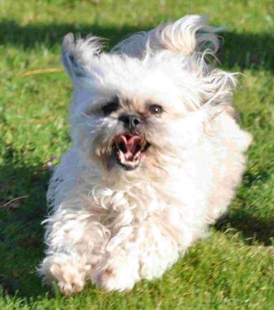 Lieblingsbild-Beitrag-Bild