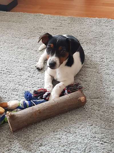 Lieblingsbild :D-Beitrag-Bild