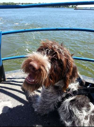 CHALLENGE NR. 18 - ON TOUR-Beitrag-Bild