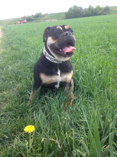 Sie werden so schnell erwachsen ...-Beitrag-Bild