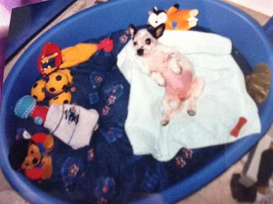 Sie werden so schnell erwachsen ...-Beitrag-Bild