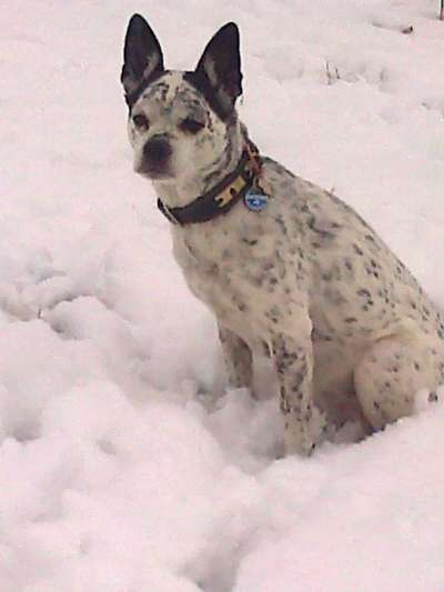 Sie werden so schnell erwachsen ...-Beitrag-Bild