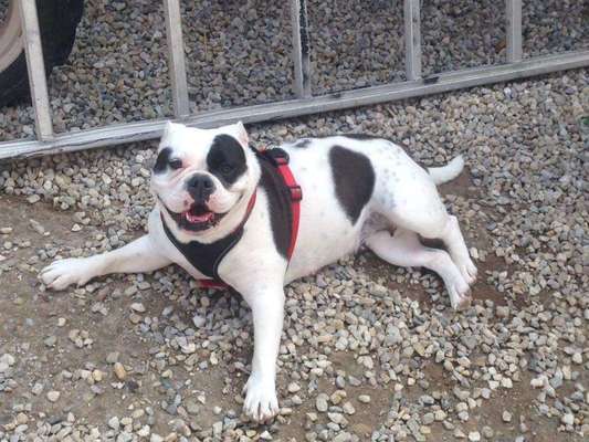 Sie werden so schnell erwachsen ...-Beitrag-Bild