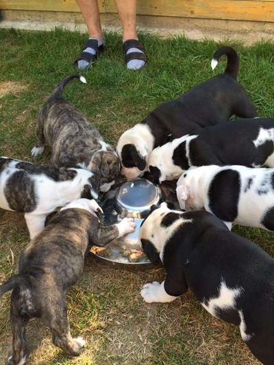 Sie werden so schnell erwachsen ...-Beitrag-Bild