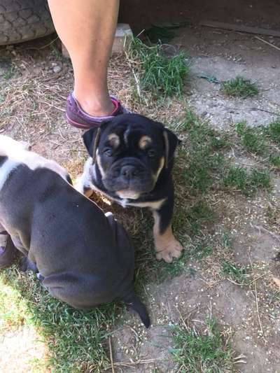 Sie werden so schnell erwachsen ...-Beitrag-Bild