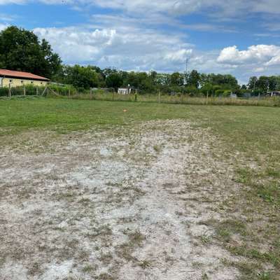 Hundeauslaufgebiet-Hundespielplatz Bad Wilsnack-Bild