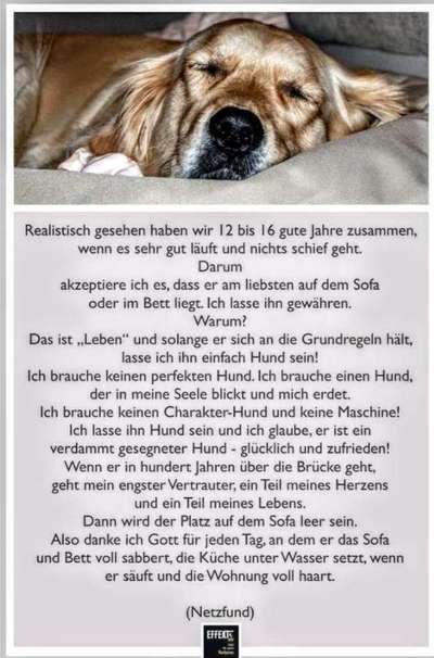 Der richtige Platz für das Körbchen-Beitrag-Bild