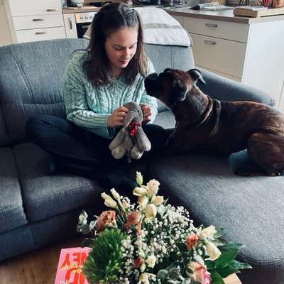 Hundetreffen-Training Humdebegegnungen