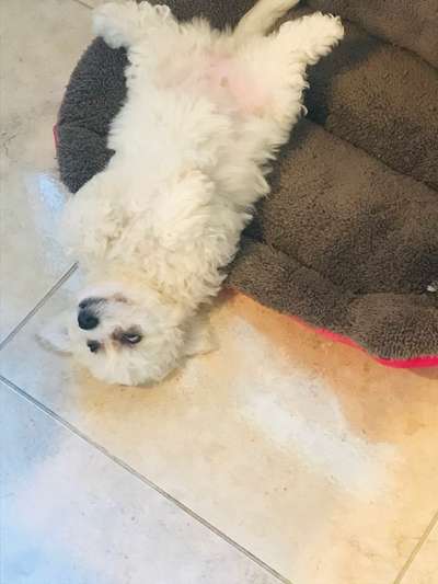 Die unbequemsten und lustigsten Schlafpositionen-Beitrag-Bild