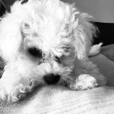 Schönen welt Frauen Tag !:)-Beitrag-Bild