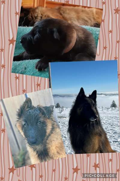 Ach, wie schnell die Zeit vergeht-Beitrag-Bild