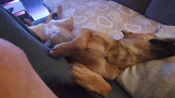 Die unbequemsten und lustigsten Schlafpositionen-Beitrag-Bild