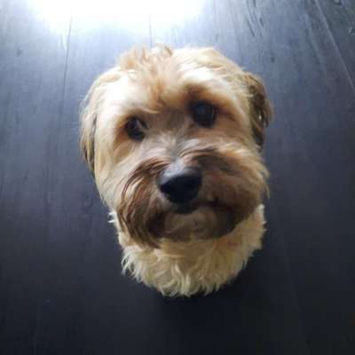 Fotochallange Nr. 57     PORTRÄT.   Beendet!!!!!!!!-Beitrag-Bild