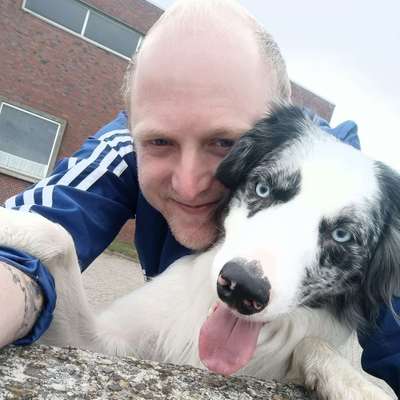 Hundetreffen-In Moormerland und Umgebung