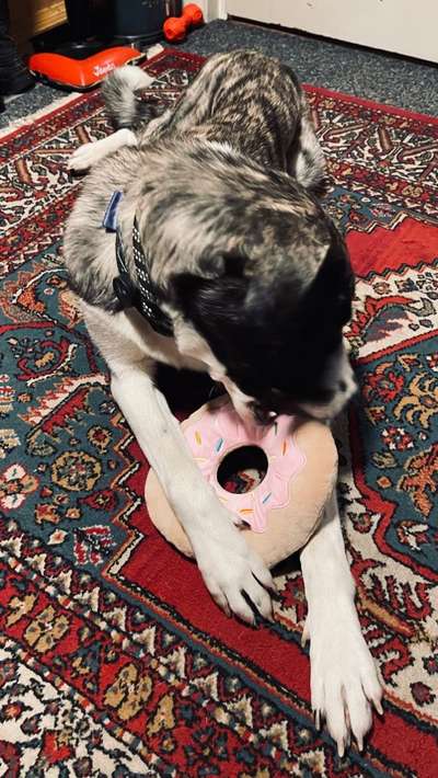 Fotochallange Nr. 57     PORTRÄT.   Beendet!!!!!!!!-Beitrag-Bild