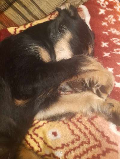 Schlafzeit!💖-Beitrag-Bild