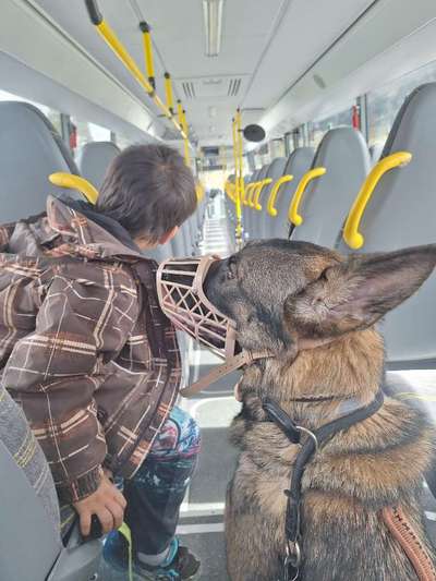 Hundetreffen-Geocaching mit Hund-Bild