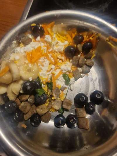 Zeigt her Eure Futternäpfe-Beitrag-Bild