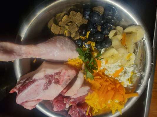 Zeigt her Eure Futternäpfe-Beitrag-Bild