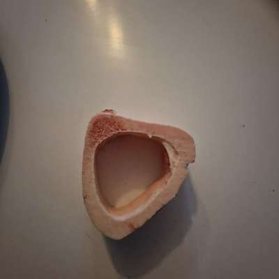 Zeigt her Eure Futternäpfe-Beitrag-Bild