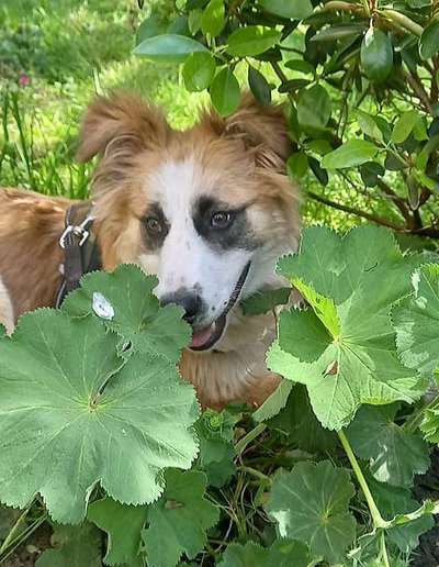 Fotowettbewerb Natur-Beitrag-Bild