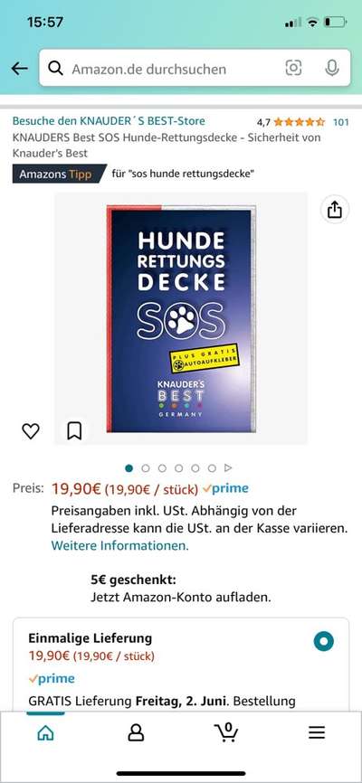 Gewöhnt sich der Hund an die Hitze?-Beitrag-Bild