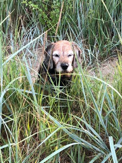 Farben Fotochallenge Thema ,,Grün"-Beitrag-Bild