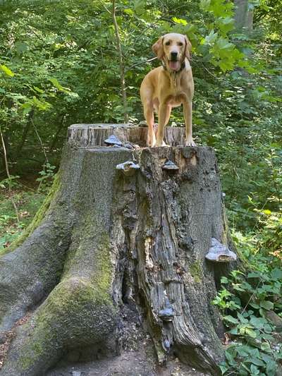 27. Handy Fotochallenge-Beitrag-Bild