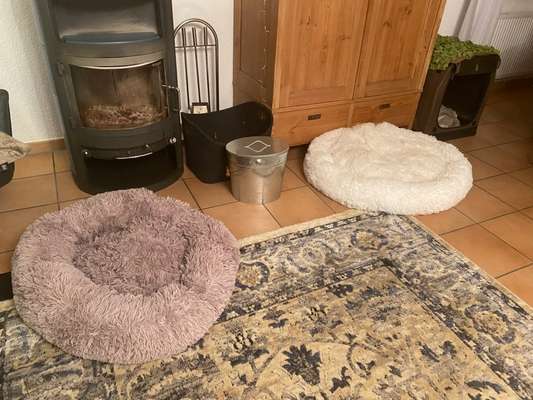 Erfahrung mit Hundeliebling.at (Wolke 7 Hundebett)-Beitrag-Bild