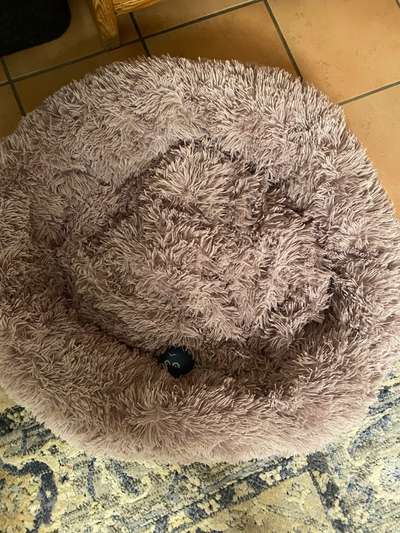 Erfahrung mit Wolkenbett-Beitrag-Bild