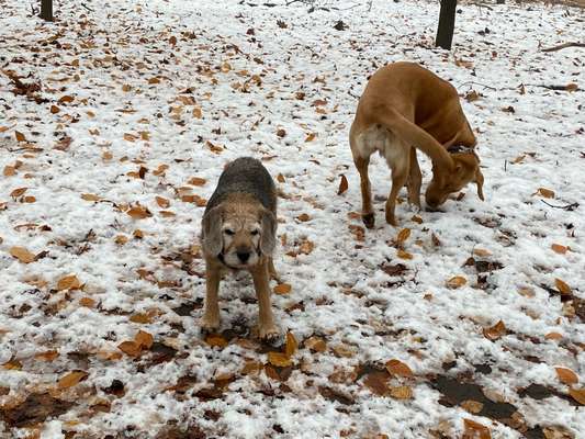 Der erste Schnee, zeigt uns eure tollen Schneemomente-Beitrag-Bild