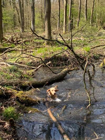 Foto Wettbewerb-Beitrag-Bild