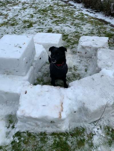 Der erste Schnee, zeigt uns eure tollen Schneemomente-Beitrag-Bild