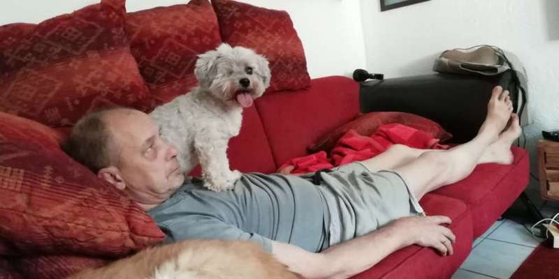 TierschutzhundeStammtisch🐕-Beitrag-Bild